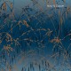 Graham & Brown | Meadow Grass Wallpaper