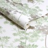 Graham & Brown | Meadow Wallpaper