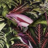 Graham & Brown | Midnight Tropic Wallpaper | 112193