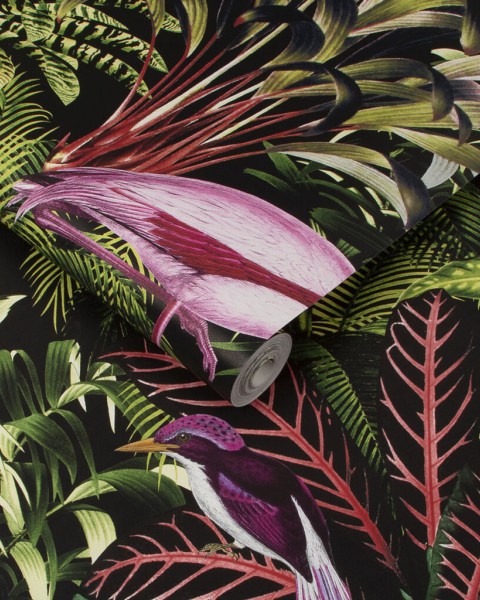 Graham & Brown | Midnight Tropic Wallpaper | 112193