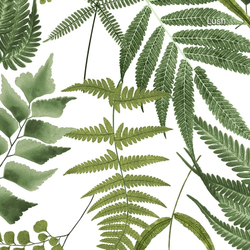 Graham & Brown | Midsummer Fern Wallpaper