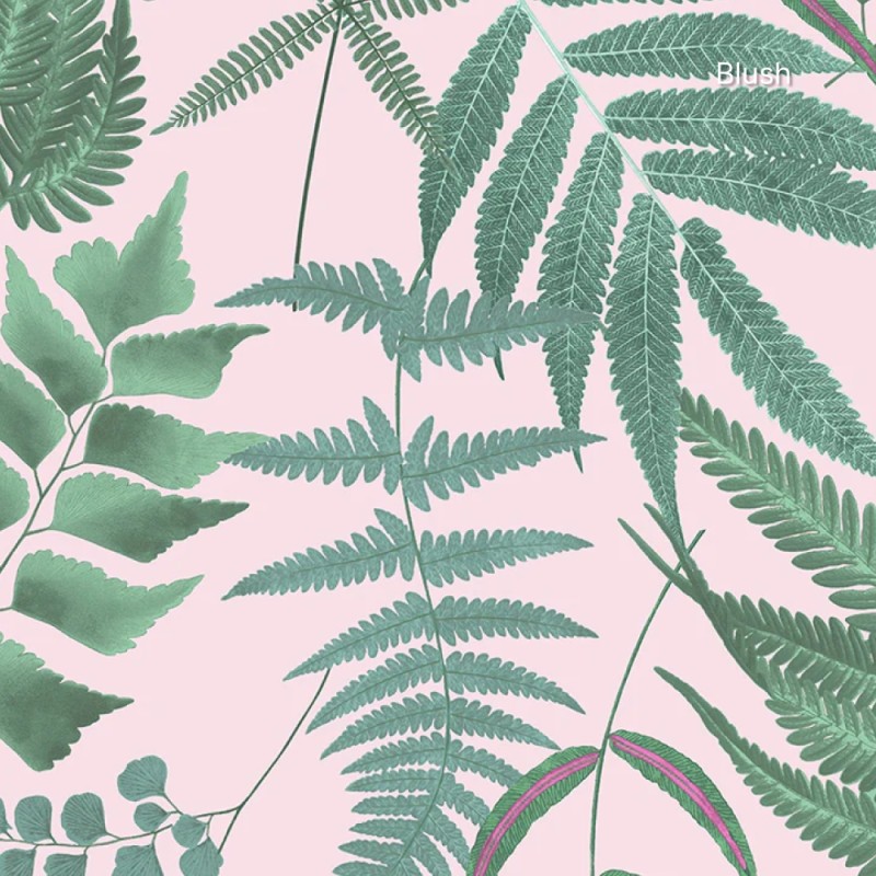Graham & Brown | Midsummer Fern Wallpaper