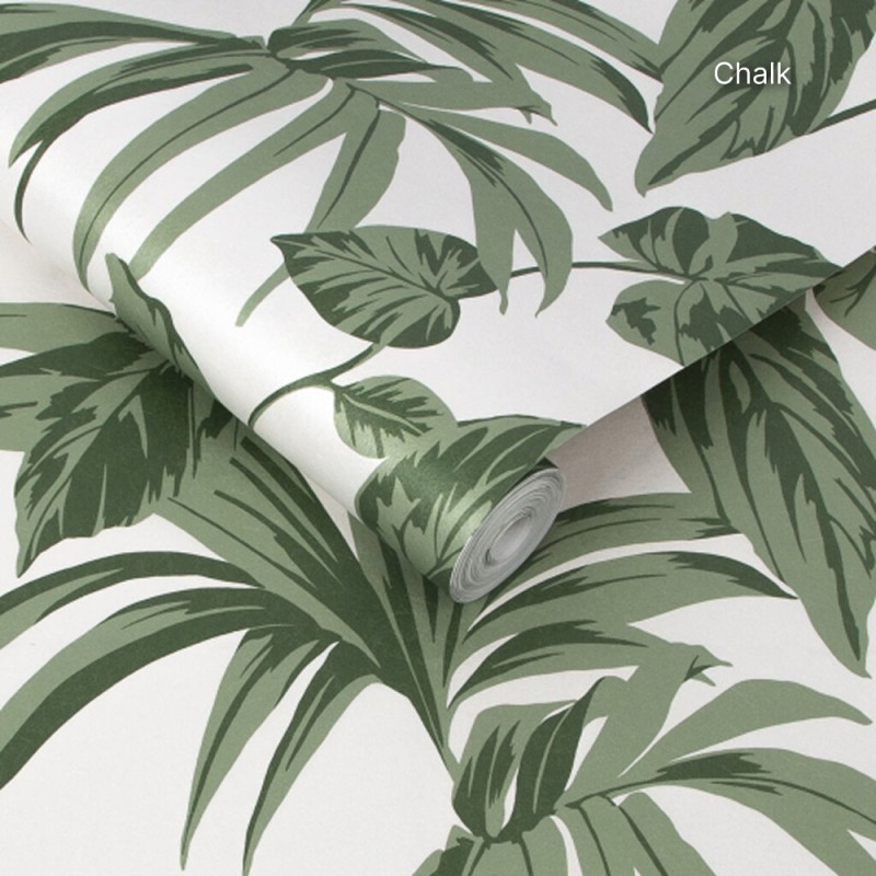 Graham & Brown | Palma Wallpaper