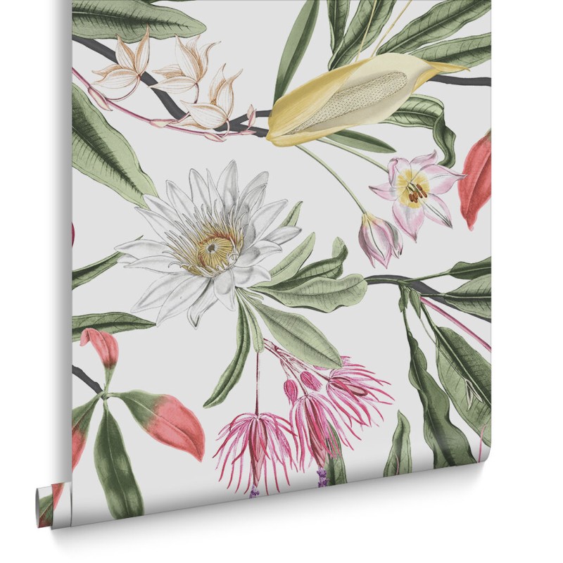 Graham & Brown | Paradise Wallpaper