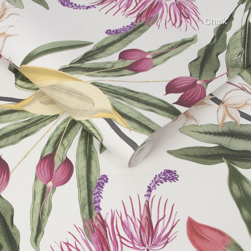 Graham & Brown | Paradise Wallpaper