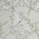 Graham & Brown | Parterre