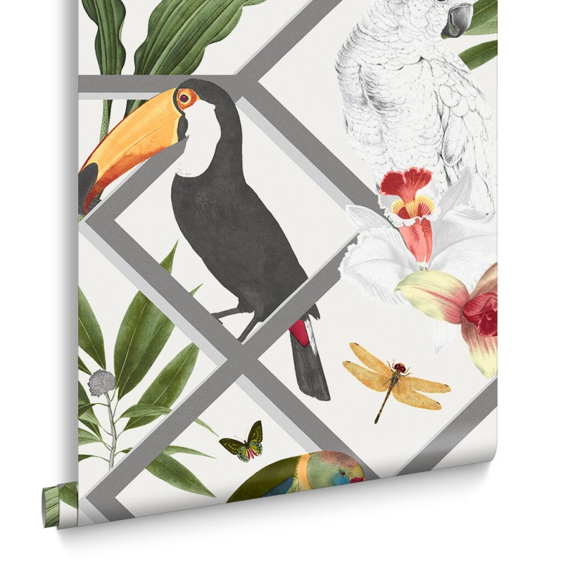 Graham & Brown | Perch Wallpaper