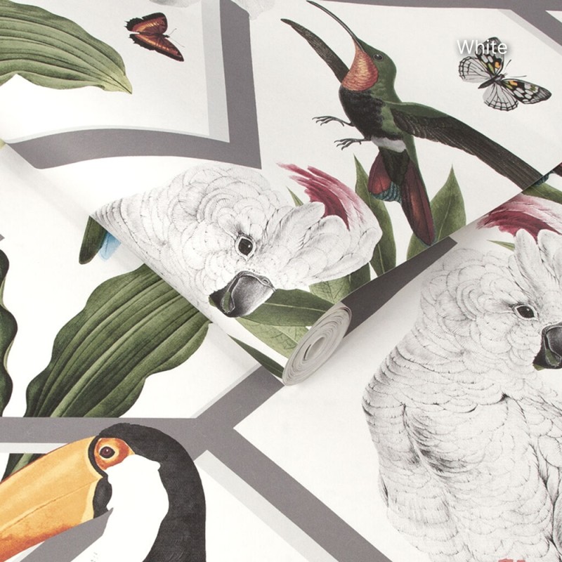 Graham & Brown | Perch Wallpaper