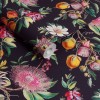 Graham & Brown | Physic Garden