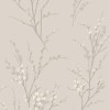 Graham & Brown | Pussy Willow