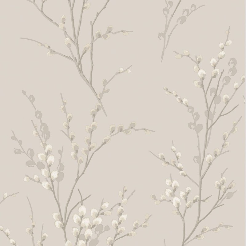 Graham & Brown | Pussy Willow