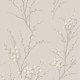 Graham & Brown | Pussy Willow