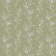 Graham & Brown | Pussy Willow