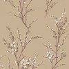 Graham & Brown | Pussy Willow