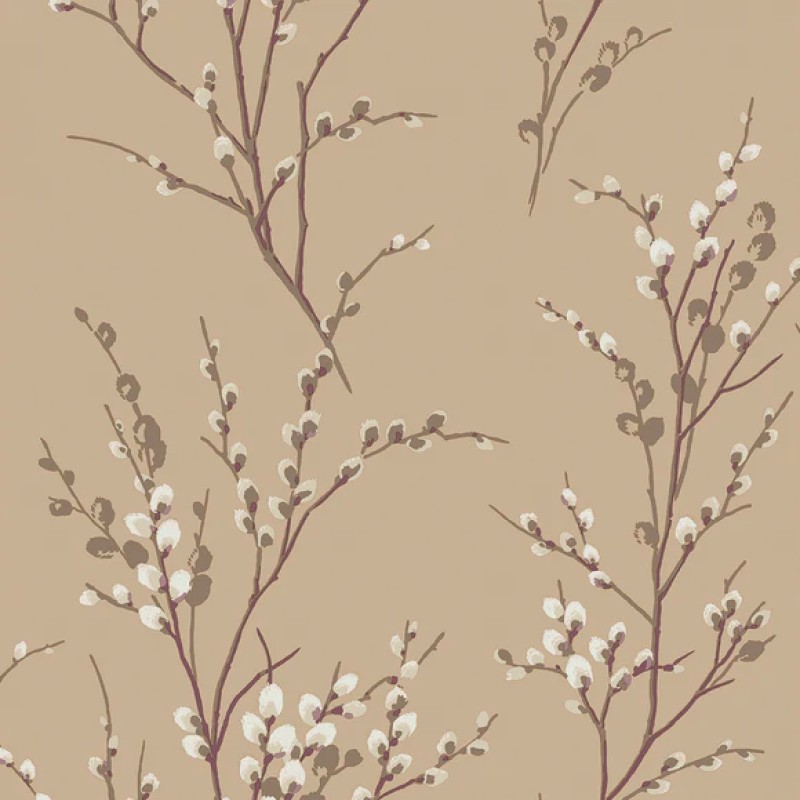 Graham & Brown | Pussy Willow