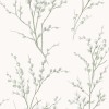 Graham & Brown | Pussy Willow