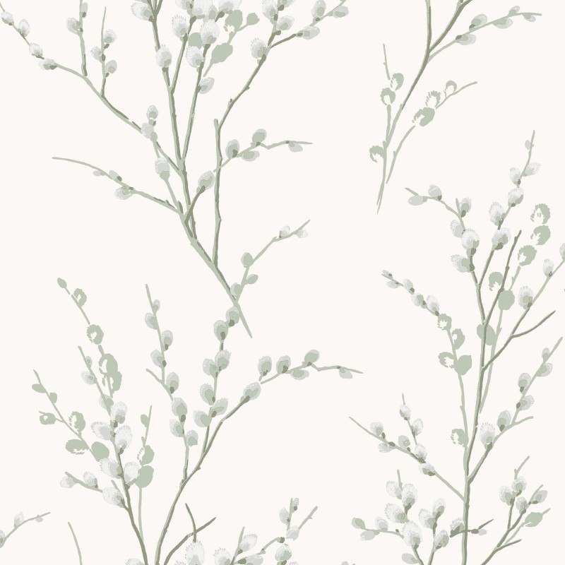 Graham & Brown | Pussy Willow