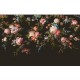 Graham & Brown | Hague Fleurs Bespoke Mural III