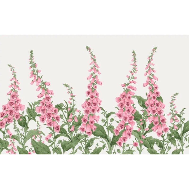 Graham & Brown | Foxglove Bespoke Mural