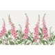 Graham & Brown | Foxglove Bespoke Mural