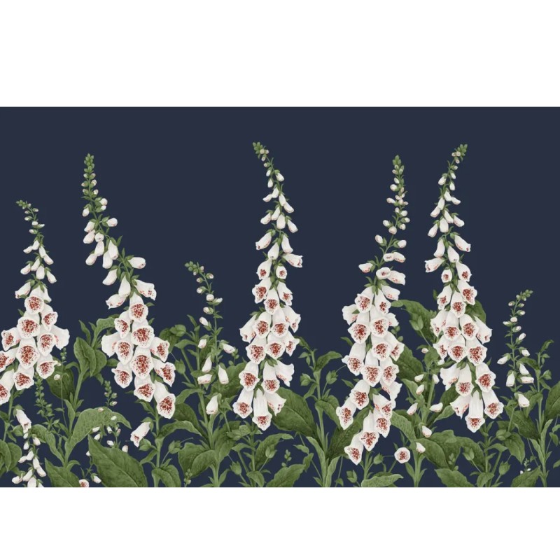 Graham & Brown | Foxglove Bespoke Mural