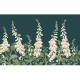 Graham & Brown | Foxglove Bespoke Mural