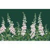Graham & Brown | Foxglove Bespoke Mural