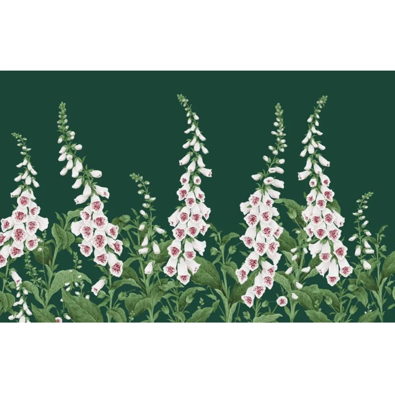 Graham & Brown | Foxglove Bespoke Mural