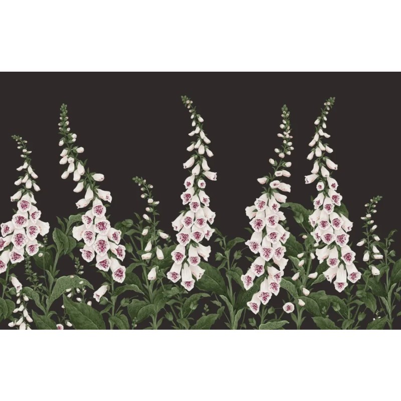 Graham & Brown | Foxglove Bespoke Mural