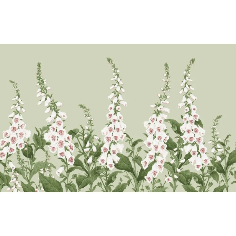 Graham & Brown | Foxglove Bespoke Mural