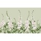 Graham & Brown | Foxglove Bespoke Mural