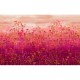 Graham & Brown | Tania's Garden