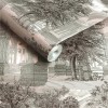 Graham & Brown | Rivington Folly Wallpaper