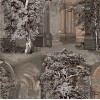 Graham & Brown | Rivington Folly Wallpaper
