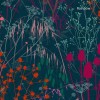 Graham & Brown | Summer Border Wallpaper
