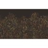 Graham & Brown | Tania's Garden
