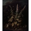 Graham & Brown | Weaver Foxglove and Brambles | 118907
