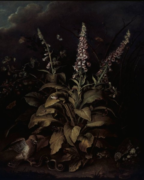 Graham & Brown | Weaver Foxglove and Brambles | 118907
