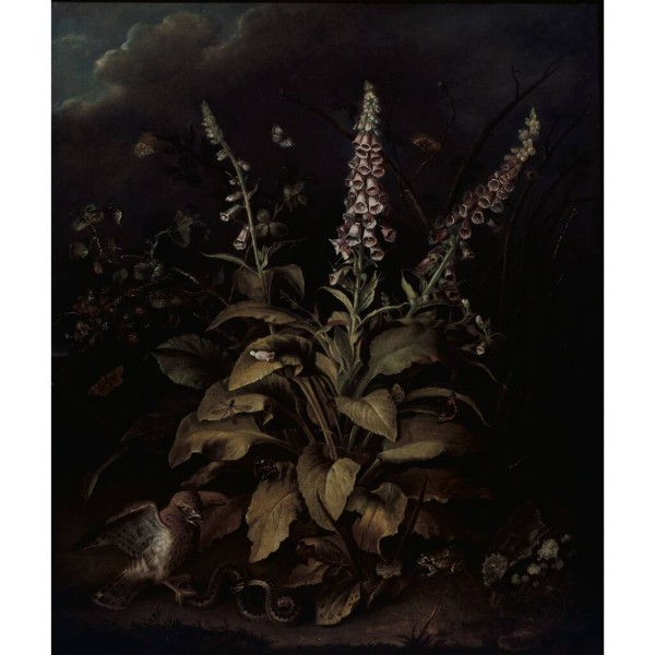 Graham & Brown | Weaver Foxglove and Brambles | 118907