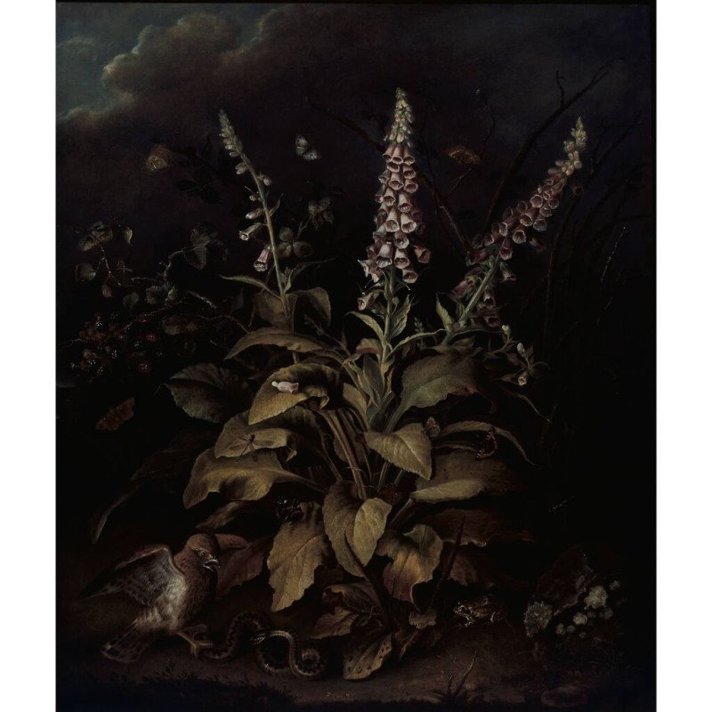 Graham & Brown | Weaver Foxglove and Brambles | 118907