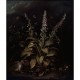 Graham & Brown | Weaver Foxglove and Brambles | 118907