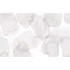 Graham & Brown | Watercolour Stills