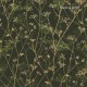 Graham & Brown | Wild Chervil Wallpaper
