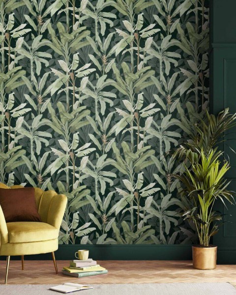Graham & Brown | Borneo