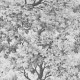 Graham & Brown | Coppice Wallpaper