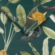 Graham & Brown | Glasshouse Wallpaper