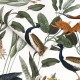 Graham & Brown | Glasshouse Wallpaper