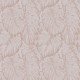 Graham & Brown | PARADISE | Tropical Blush 103767