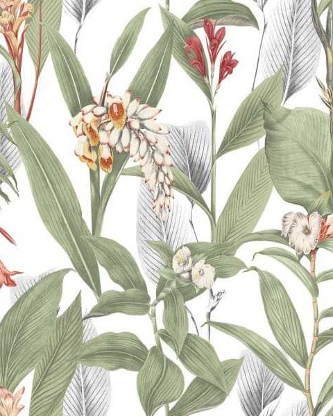 Graham & Brown | PARADISE | Botanical Powder 103797