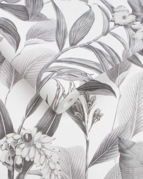 Graham & Brown | PARADISE | Botanical Shadow 103801